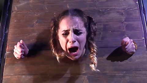 Shaky tanlinesc leopard brittany & facial